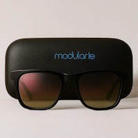 Designer Portfolio sunglasses 