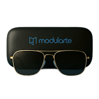Graphic Designer sunglasses 